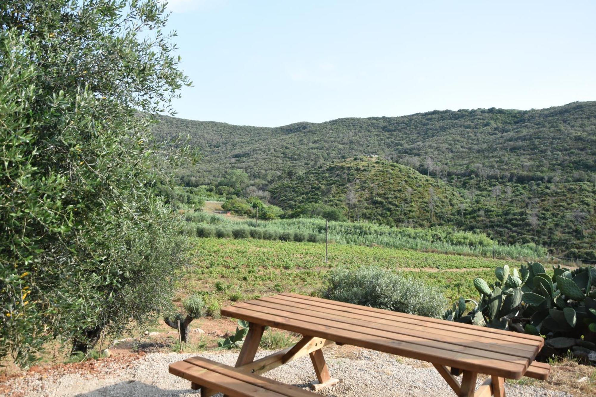 Elba Borgo Di Latrano Apartment Magazzini  Exterior photo